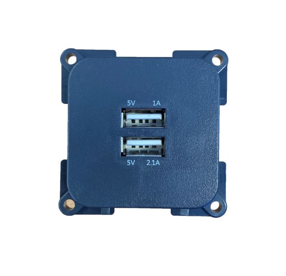 Black C-Line Twin USB Socket - 1Amp & 2.1Amp